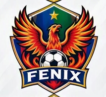 Escudo de Fenix